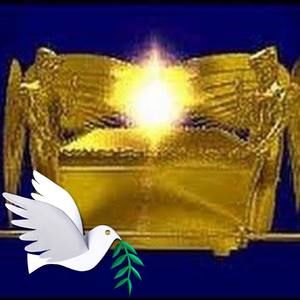 Meet your Posher, Vance